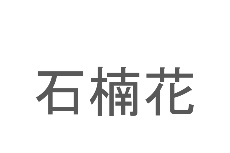 【読めたらスゴイ！】「石楠花」とは一体何のこと！？赤い大輪な花を咲かせる植物の事ですが・・この漢字を読めますか？