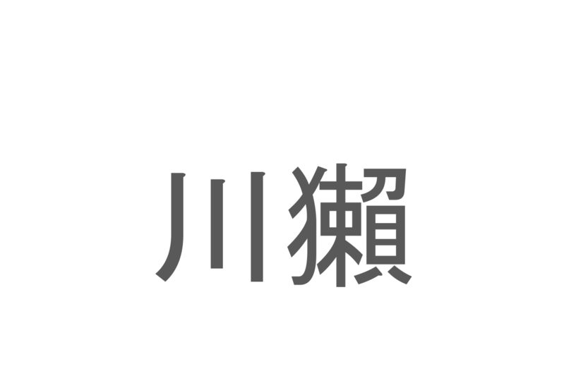 【読めたらスゴイ！】「川獺」とは一体何のこと！？とても愛らしい外見のある動物のことですが・・！この漢字を読めますか？