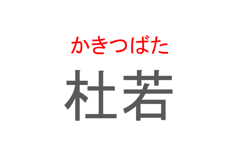 【読めたらスゴイ！】「杜若」とは一体何のこと！？高貴・思慕といった花言葉のある植物ですが・・、この漢字を読めますか？