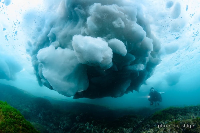 知床半島で流氷と向き合った１ヶ月　水中写真家・茂野優太のチャレンジ、その成果は⁉