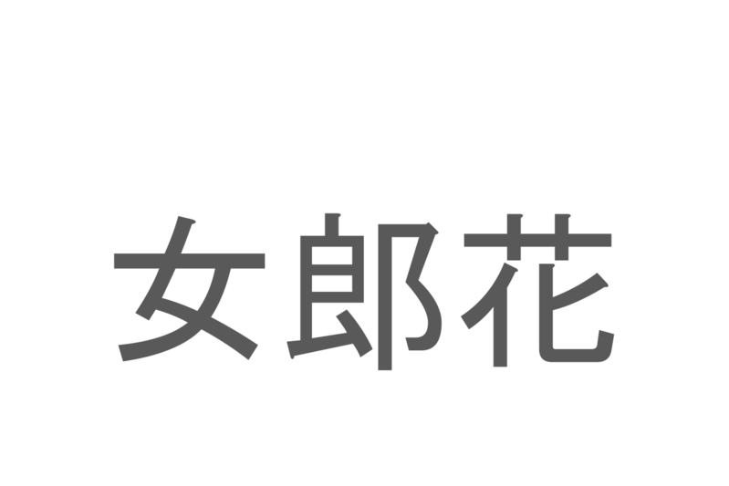 【読めたらスゴイ！】「女 郎花」とは一体何のこと！？「秋の七草」としても知られる花なのですが・・・この漢字を読めますか？