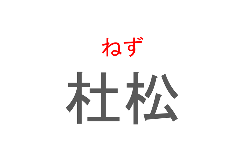 【読めたらスゴイ！】「杜松」とは一体何のこと！？日本庭園には必ずあるイメージもある植物の事ですが・・・この漢字を読めますか？