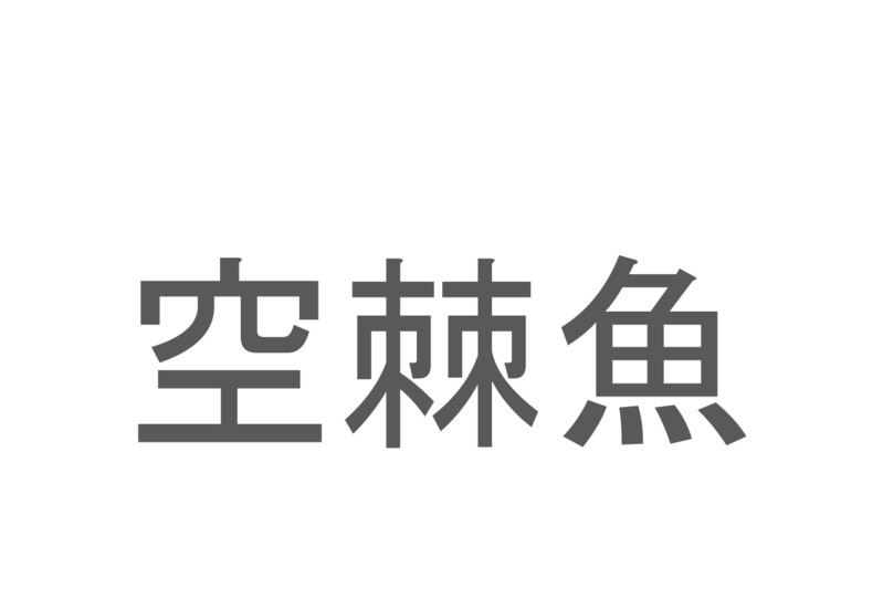 【読めたらスゴイ！】「空棘魚」とは一体何のこと！？「生きた化石」と呼ばれる生物なのですが・・・この漢字を読めますか？