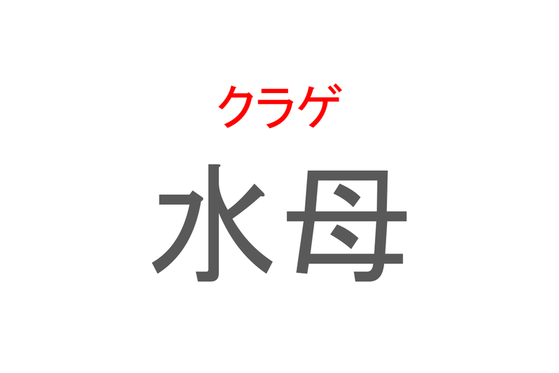 【読めたらスゴイ！】「水母」とは一体何のこと！？水中でゆらゆら揺れるある生物のことですが・・この漢字を読めますか？