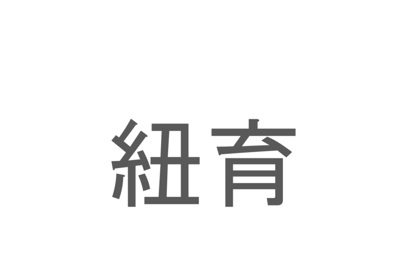 【読めたらスゴイ！】「紐育」とは一体何のこと！？世界屈指の経済都市の事ですが・・・この漢字を読めますか？