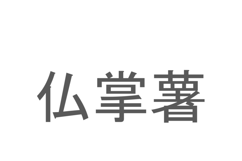 【読めたらスゴイ！】「仏掌薯」とは一体何のこと！？滋養強壮にも効果があるとされるトロッとした食材ですが・・・この漢字を読めますか？