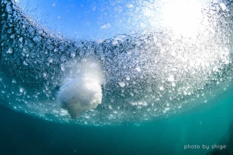 知床半島で流氷と向き合った１ヶ月　水中写真家・茂野優太のチャレンジ、その成果は⁉