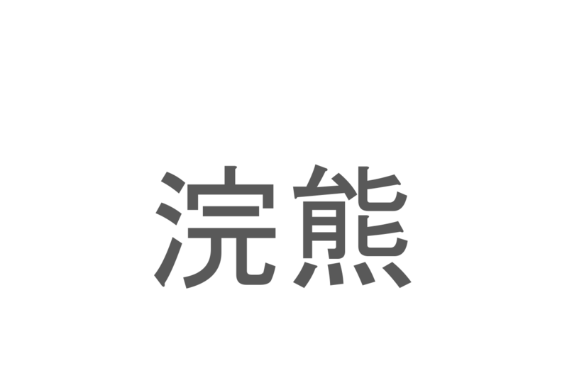 【読めたらスゴイ！】「浣熊」とは一体何のこと！？不朽のアニメにも出てくるあの動物です！この漢字を読めますか？