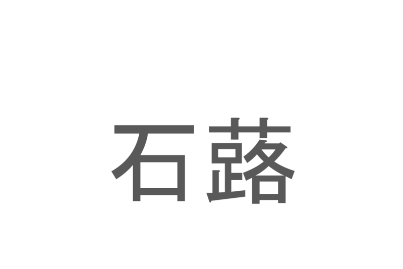 【読めたらスゴイ！】「石蕗」とは一体何のこと！？謙遜・困難に負けないといった花言葉のある植物ですが・・・この漢字を読めますか？