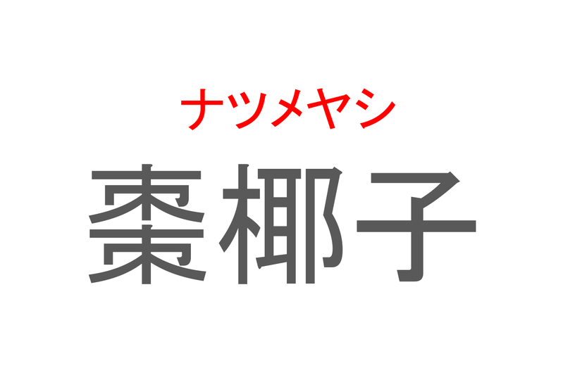 【読めたらスゴイ！】「棗椰子」とは一体何のこと！？健康に良い果実がなる木の一種ですが・・・この漢字を読めますか？