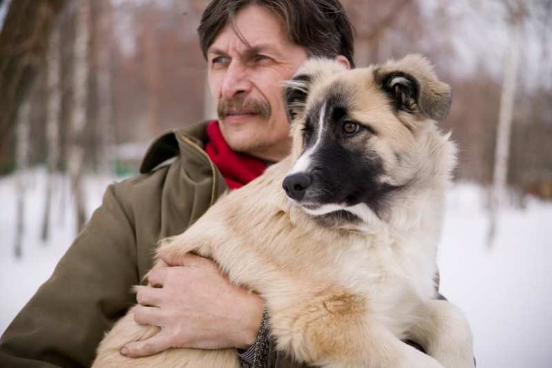 犬が見る世界には赤がない?! 人間と犬の見え方の違いとは