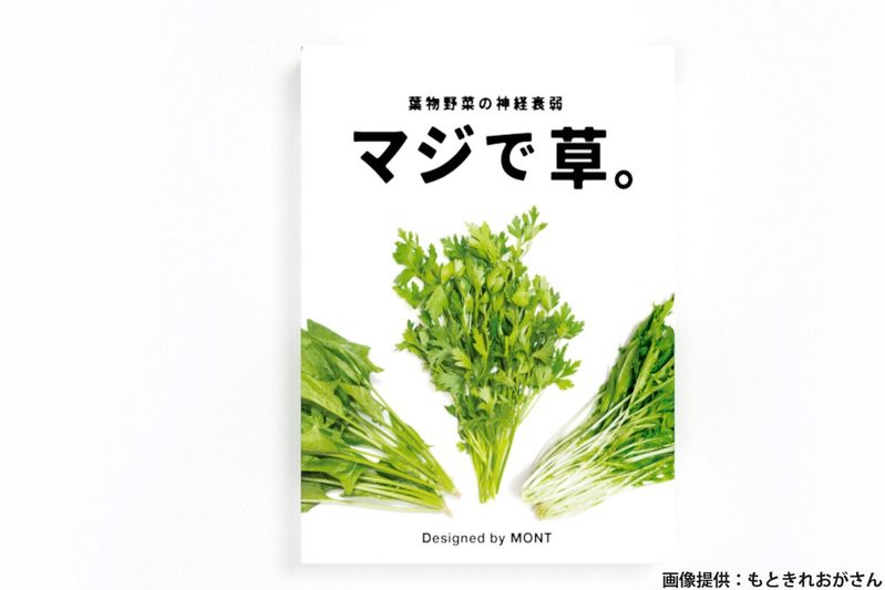 葉物野菜で神経衰弱するゲーム、その内容が最高　「マジで草生える」ネットで称賛の嵐