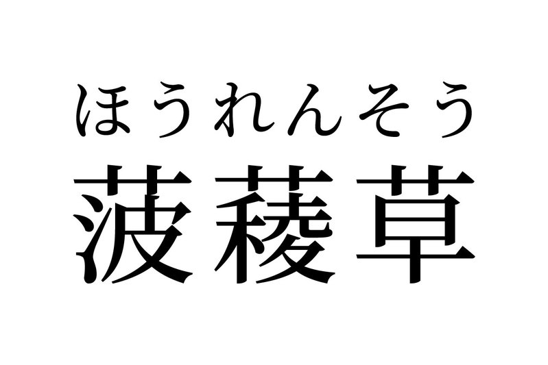 【読めたらスゴイ！】「菠薐草」とは一体何のこと！？「草」の名前なの！？この漢字、あなたは読めますか？