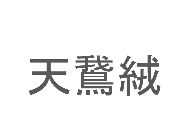 【読めたらスゴイ！】「天鵞絨」とは一体何のこと！？戦国大名も好んだ織物ですが・・・この漢字を読めますか？