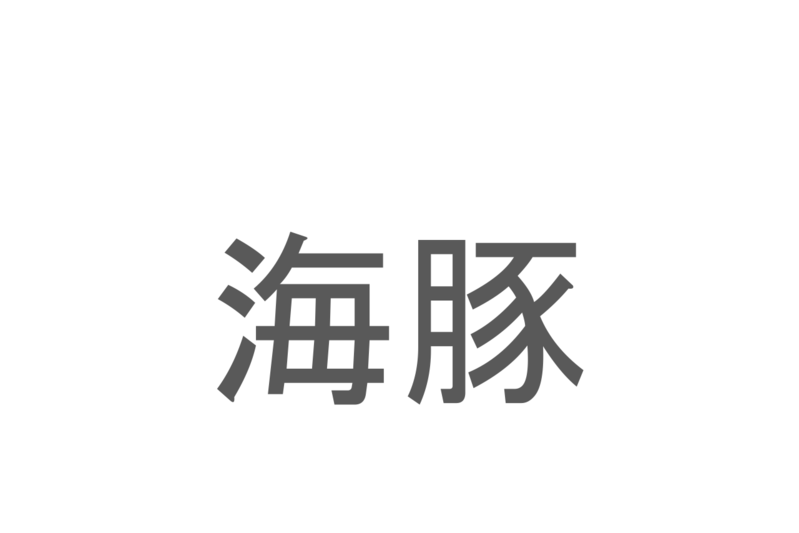 【読めたらスゴイ！】「海豚」とは一体何のこと！？とても賢い水族館の人気者ですが・・・この漢字を読めますか？