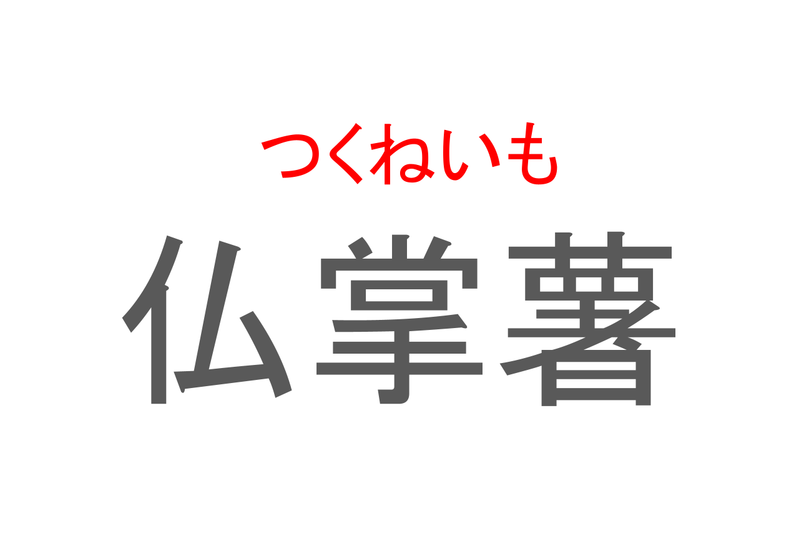 【読めたらスゴイ！】「仏掌薯」とは一体何のこと！？滋養強壮にも効果があるとされるトロッとした食材ですが・・・この漢字を読めますか？