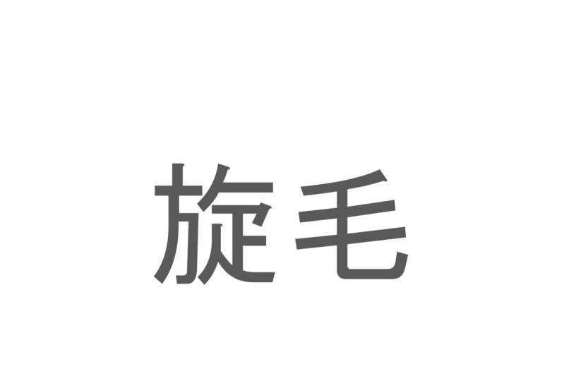 【読めたらスゴイ！】「旋毛」とは一体何のこと！？人体にもあるのですが・・・この漢字を読めますか？