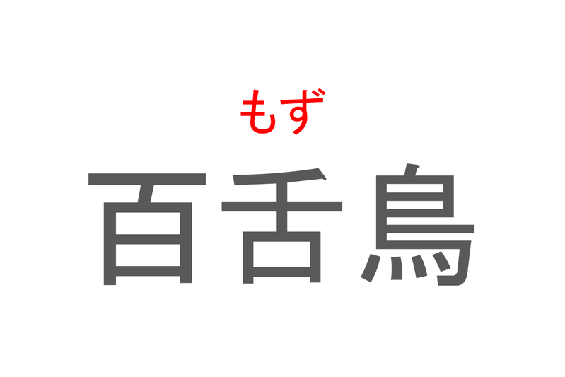 【読めたらスゴイ！】「百舌鳥」とは一体何のこと！？漢字は3文字なのに読みは2文字の鳥ですが・・・この漢字を読めますか？