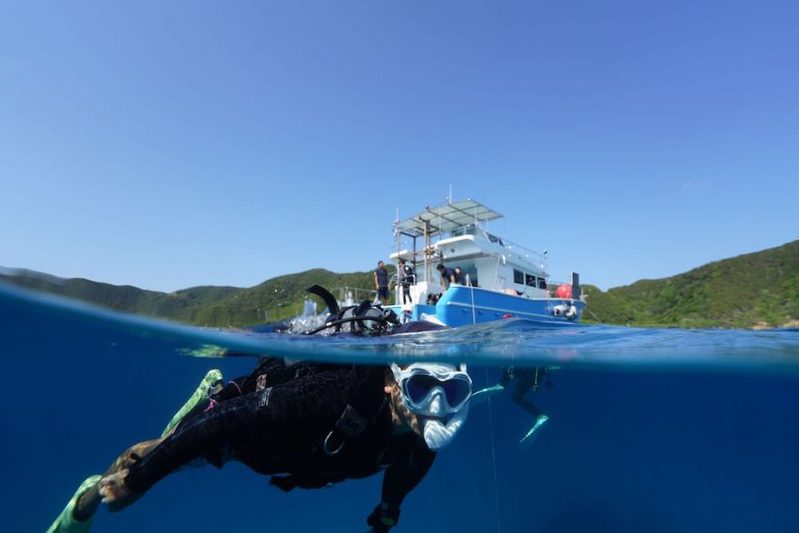 【鹿児島県・奄美大島】ダイバー必見！2022年秋、全国各地のガイドたちが薦める海はここだ！ 連載No.13