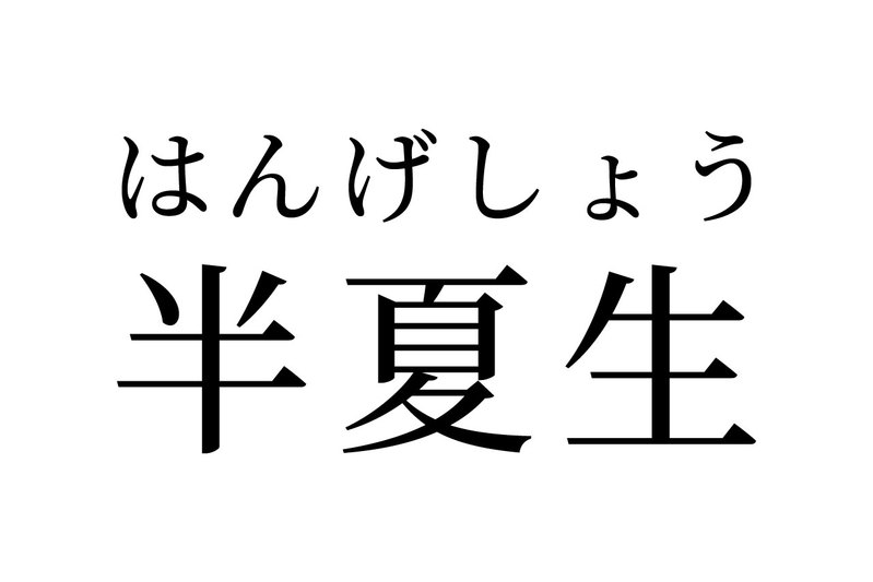 【読めたらスゴイ！】「半夏生」とは何のこと！？ハンカセイと読みたくなりますが・・この言葉、あなたは読めますか？