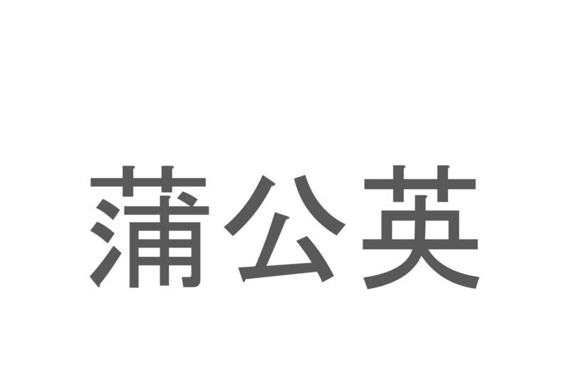 【読めたらスゴイ！】「蒲公英」とは一体何のこと！？春を代表する花のひとつですが・・・この漢字を読めますか？