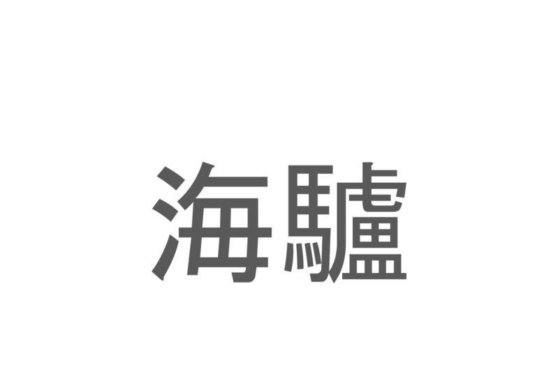 【読めたらスゴイ！】「海驢」とは一体何のこと！？水族館の人気者ですが・・・この漢字を読めますか？