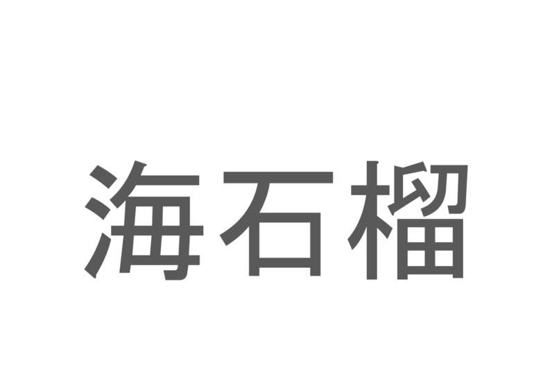 【読めたらスゴイ！】「海石榴」とは一体何のこと！？海とは入っていますが「控えめな素晴らしさ」等の花言葉のある植物の事ですが・・・この漢字を読めますか？