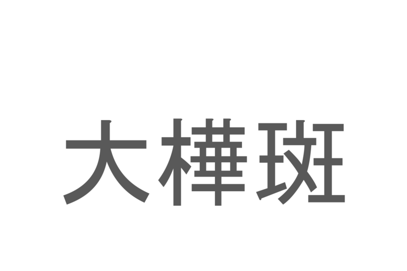 【読めたらスゴイ！】「大樺斑」とは一体何のこと！？鮮やかな羽を持つ生き物を指すこの漢字を読めますか？