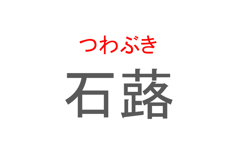 【読めたらスゴイ！】「石蕗」とは一体何のこと！？謙遜・困難に負けないといった花言葉のある植物ですが・・・この漢字を読めますか？