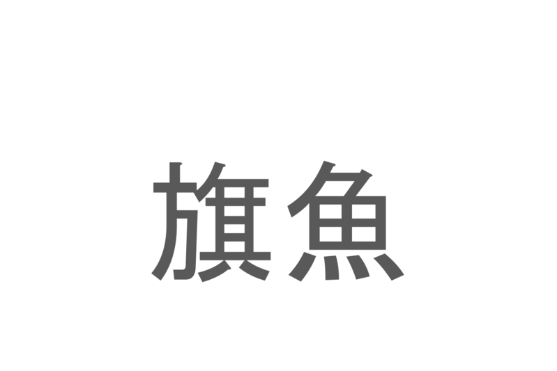 【読めたらスゴイ！】「旗魚」とは一体何のこと！？長い鼻が特徴のあの魚の事ですが・・この漢字を読めますか？