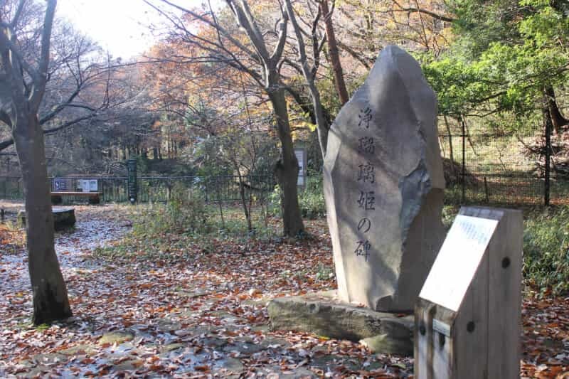 浄瑠璃姫伝説ウォーキング 長池公園～せせらぎ緑道～蓮生寺薬師堂