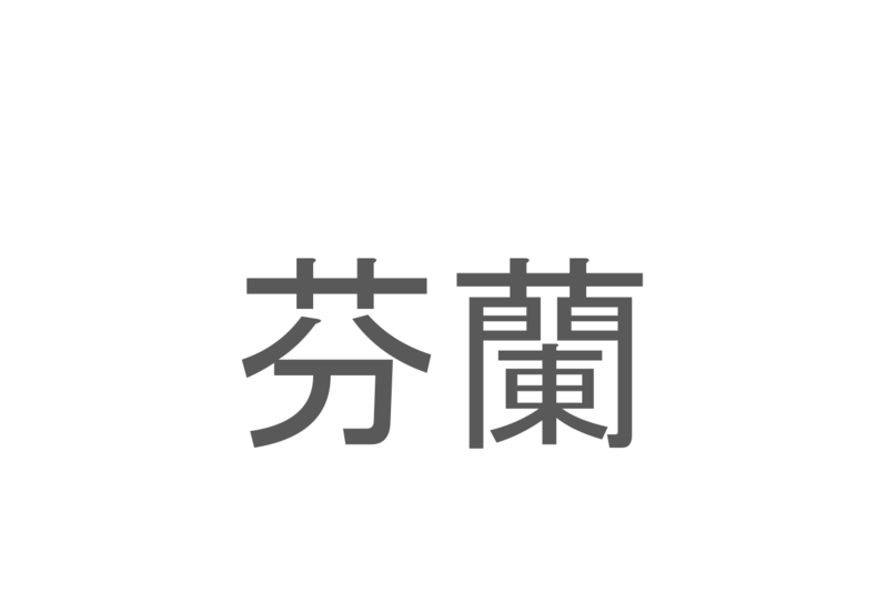 【読めたらスゴイ！】「芬蘭」とは一体何のこと！？北欧の国のひとつですが・・・この漢字を読めますか？