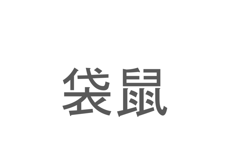 【読めたらスゴイ！】「袋鼠」とは一体何のこと！？ぴょんぴょんジャンプするあの動物をあらわすこの漢字を読めますか？