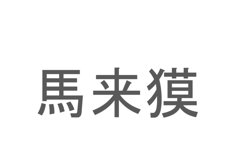 【読めたらスゴイ！】「馬来獏」とは一体何のこと！？体の色と模様が特徴的な動物のことですが・・・この漢字を読めますか？