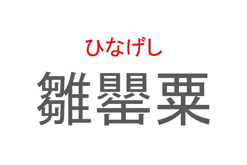 【読めたらスゴイ！】「雛罌粟」とは一体何のこと！？心の平穏・いたわり・恋の予感といった花言葉がある春の花のことですが・・・この漢字を読めますか？