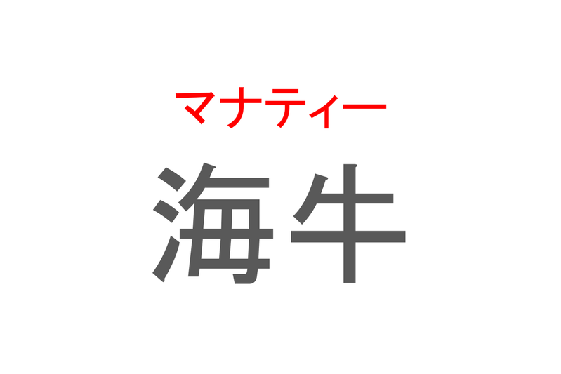 【読めたらスゴイ！】「海牛」とは一体何のこと！？日本では珍しい海の生き物ですが・・？この漢字を読めますか？