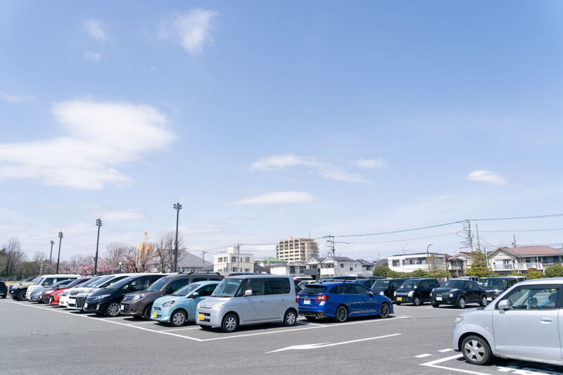 【2022年・開花情報！】富士森公園の桜が見ごろを迎えています!!