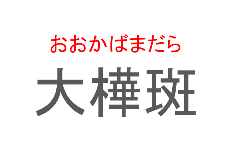 【読めたらスゴイ！】「大樺斑」とは一体何のこと！？鮮やかな羽を持つ生き物を指すこの漢字を読めますか？