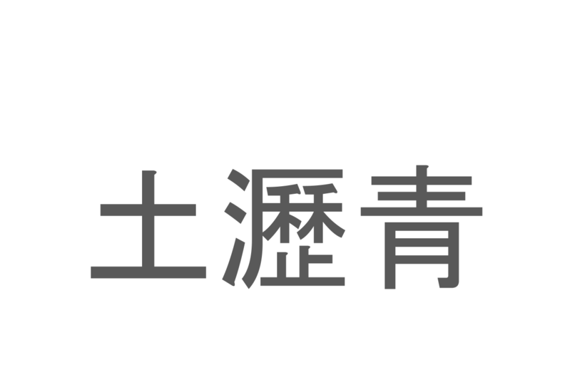 【読めたらスゴイ！】「土瀝青」とは一体何のこと！？道路の舗装などに用いられますが・・・・この漢字を読めますか？