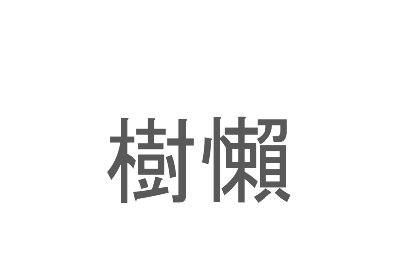 【読めたらスゴイ！】「樹懶」とは一体何のこと！？のんびり屋さんと知られる動物の事ですが・・この漢字を読めますか？