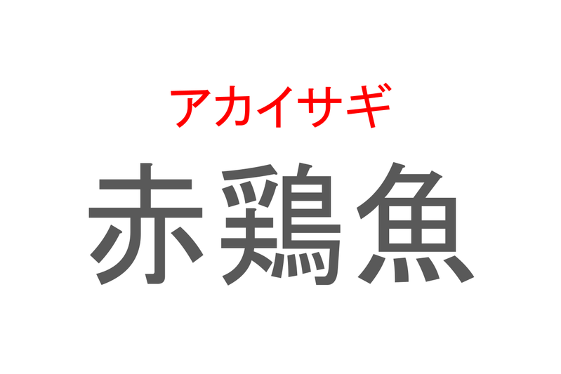 【読めたらスゴイ！】「赤鶏魚」とは一体何のこと！？漢字の通り体の赤いある魚のことですが・・この漢字を読めますか？