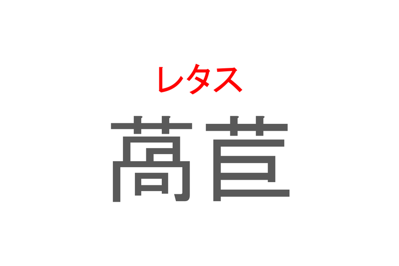 【読めたらスゴイ！】「萵苣」とは一体何のこと！？シャキシャキ食感のあの野菜ですが・・・この漢字を読めますか？