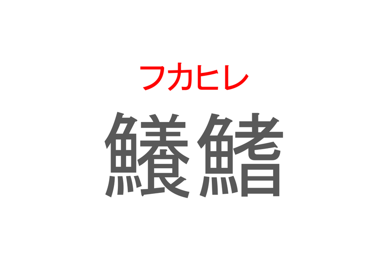 【読めたらスゴイ！】「鱶鰭」とは一体何のこと！？あの高級食材の事ですが・・・この漢字を読めますか？