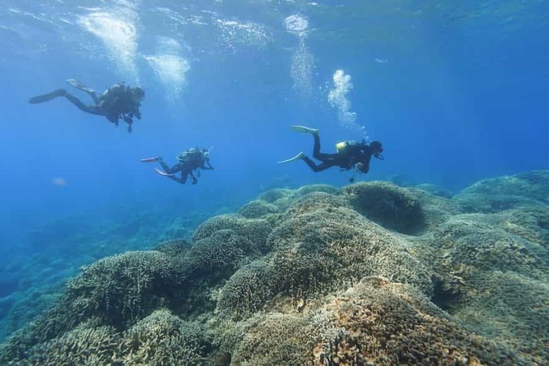 【鹿児島県・奄美大島】ダイバー必見！2022年秋、全国各地のガイドたちが薦める海はここだ！ 連載No.13