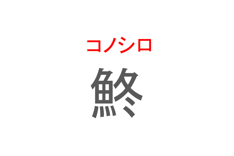 【読めたらスゴイ！】「鮗」とは一体何のこと！？「逆出世魚」と言われる事もある不遇な魚ですが・・・この漢字を読めますか？