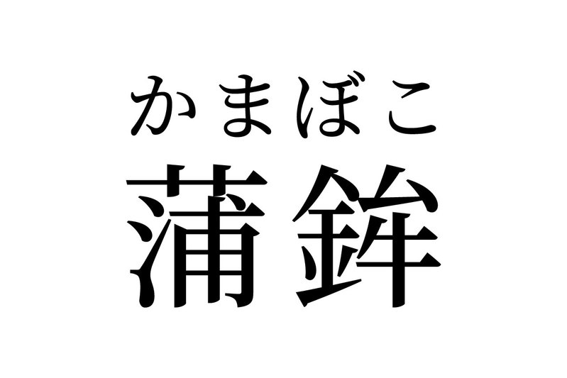 【読めたらスゴイ!】「蒲鉾」って何のこと?読めそうで読めない・・・この漢字、あなたは読めますか?