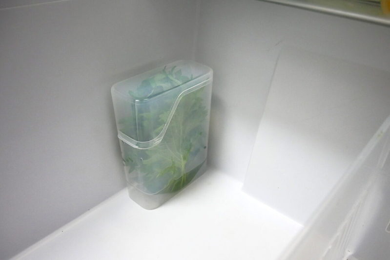 大葉の保存は“コレ”が正解 長持ちさせる「110円のグッズ」が最強だった