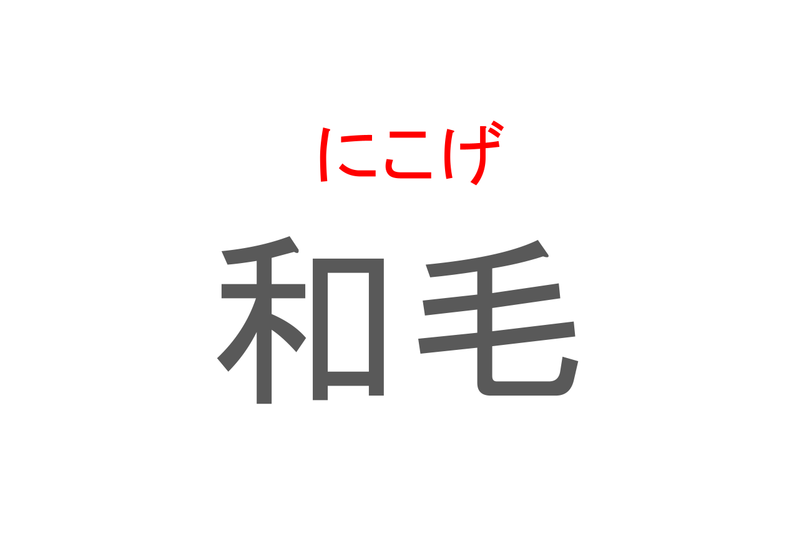 【読めたらスゴイ！】「和毛」とは一体何のこと！？ふわふわしたある毛を指す言葉ですが・・・この漢字を読めますか？