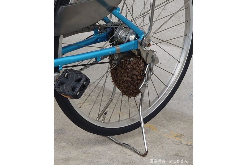 自転車のタイヤに大量のミツバチ、その光景が「地獄すぎる」と悲鳴 専門家は「放置するのが良い」