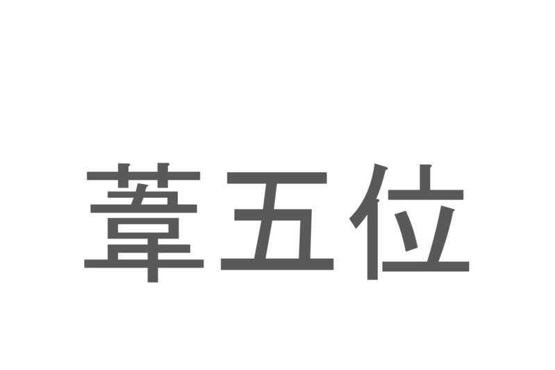 【読めたらスゴイ！】「葦五位」とは一体何のこと！？サギの仲間となる鳥ですが・・・この漢字を読めますか？